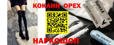 шишки Новодвинск