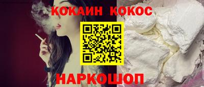 шишки Новодвинск