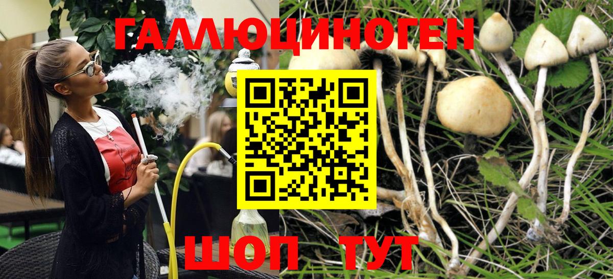 Тавда  Псилоцибиновые грибы GOLDEN TEACHER  Вход с VPN 