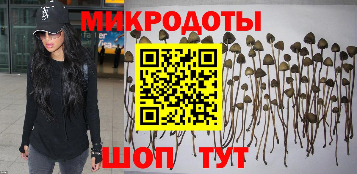 Галлюциногенные грибы прущие грибы Тавда